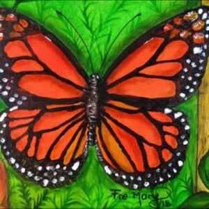 Mariposa naranja