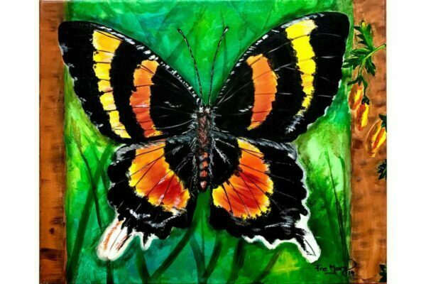 Mariposa negra