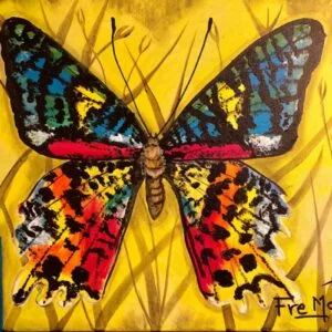 Mariposa multicolor