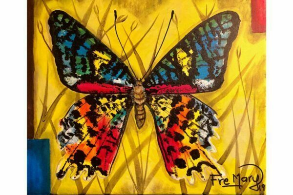 Mariposa multicolor