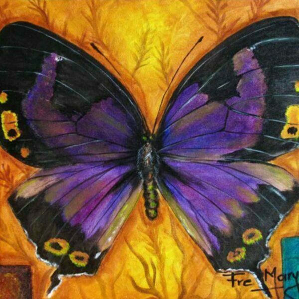 Mariposa púrpura