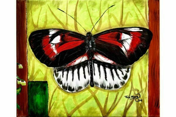 Mariposa sobre amarillo