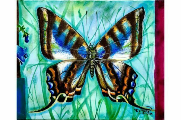Mariposa azul