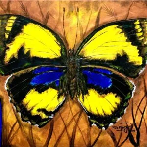 Mariposa Amarilla azul