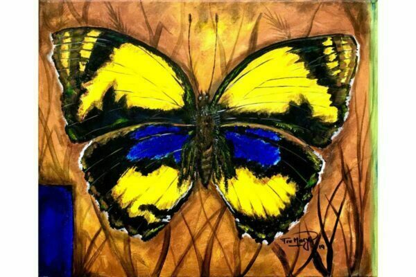 Mariposa Amarilla azul