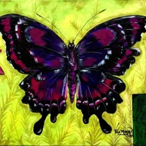 Mariposa morada sobre amarillo
