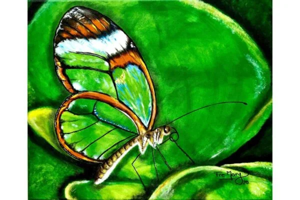Mariposa verde