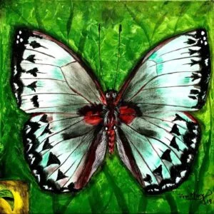 mariposa blanca sobre verde