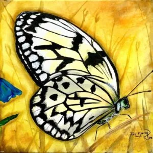 mariposa blanca sobre amarillo