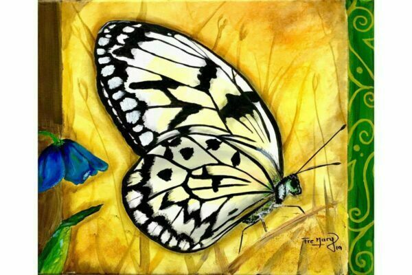 mariposa blanca sobre amarillo