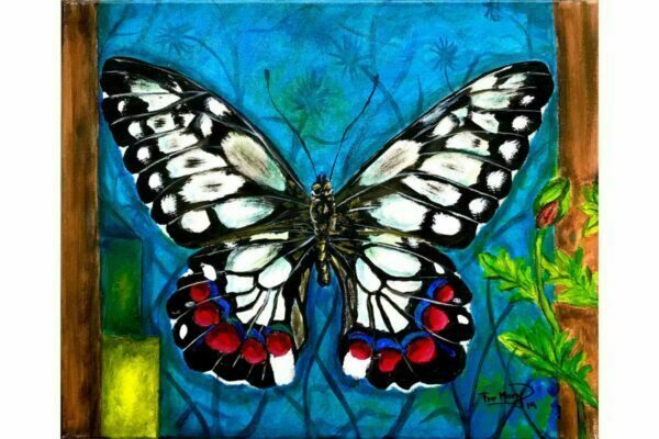 Mariposa sobre azul