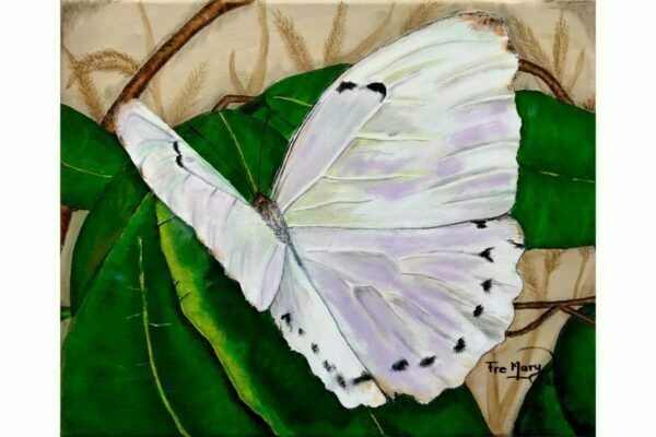 Mariposa blanca