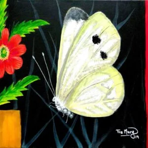 mariposa blanca sobre negro