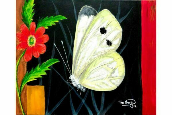 mariposa blanca sobre negro