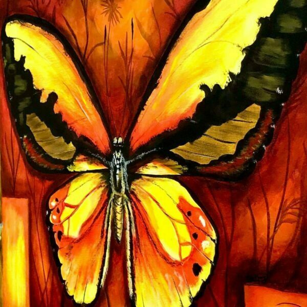 Troides Croesus - Imagen 5